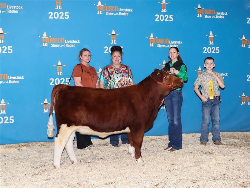 Wave 2 for our Hallsville FFA Cattle Show Team @ the Houston Livestock Show: Shane Killeen showed his Chianina, Domino, and they placed 4th in Class Kyndal McRae showed a Bred and owned Chianina, Denim Diamond, and they placed 5th in class. Savannah